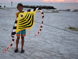 LED Rocket Kites™ - Fish Kite with 48 LED Lights