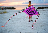 LED Rocket Kites™ - Fish Kite with 48 LED Lights