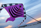 LED Rocket Kites™ - Fish Kite with 48 LED Lights