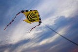 LED Rocket Kites™ - Fish Kite with 48 LED Lights