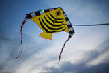 LED Rocket Kites™ - Fish Kite with 48 LED Lights