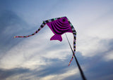 LED Rocket Kites™ - Fish Kite with 48 LED Lights