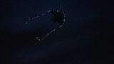 LED Rocket Kites™ - Fish Kite with 48 LED Lights