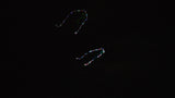 LED Rocket Kites™ - Fish Kite with 48 LED Lights