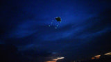 LED Rocket Kites™ - Fish Kite with 48 LED Lights