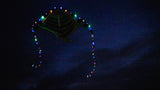 LED Rocket Kites™ - Fish Kite with 48 LED Lights