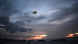 LED Rocket Kites™ - Fish Kite with 48 LED Lights