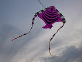 LED Rocket Kites™ - Fish Kite with 48 LED Lights