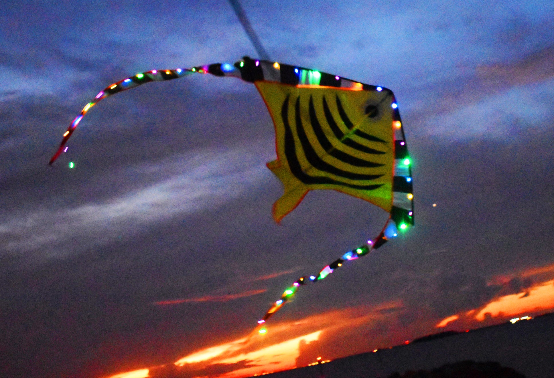 svag Flyve drage Afbrydelse LED Rocket Kites™ - Fish Kite with 48 LED Lights – CAM Watersports