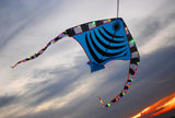 LED Rocket Kites™ - Fish Kite with 48 LED Lights